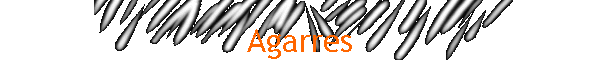 Agarres